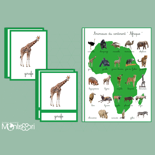 Les Animaux D Afrique Document Montessori Pensees Montessori